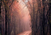 社区盾杯-曼城点球8-7击败曼联夺冠 桑乔埃文斯失点.