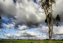 图赫尔：下一场不会有人因为表现不佳被弃用 福登&拉什福德很努力.