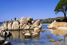 壹号娱乐官网：斯彭斯：杜埃是我合作过的最佳球员之一，他像内马尔的克隆人.